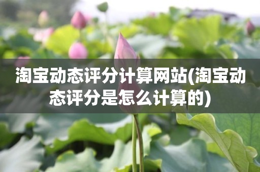 淘宝动态评分计算网站(淘宝动态评分是怎么计算的)