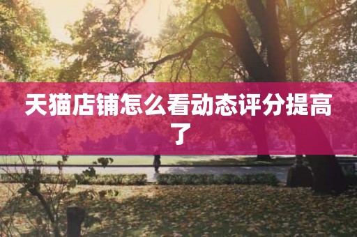 天猫店铺怎么看动态评分提高了