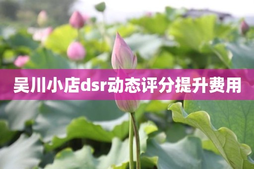 吴川小店dsr动态评分提升费用