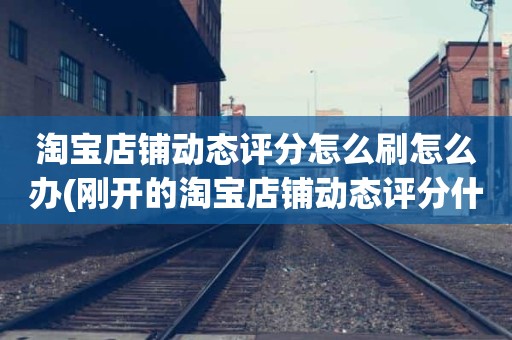 淘宝店铺动态评分怎么刷怎么办(刚开的淘宝店铺动态评分什么时候开始显示)
