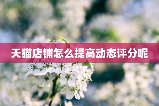 天猫店铺怎么提高动态评分呢