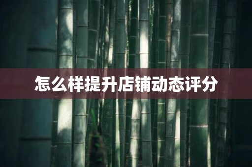 怎么样提升店铺动态评分