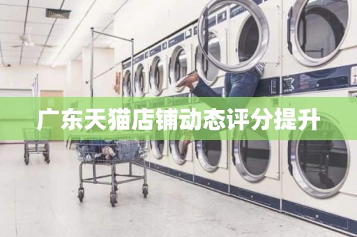 广东天猫店铺动态评分提升
