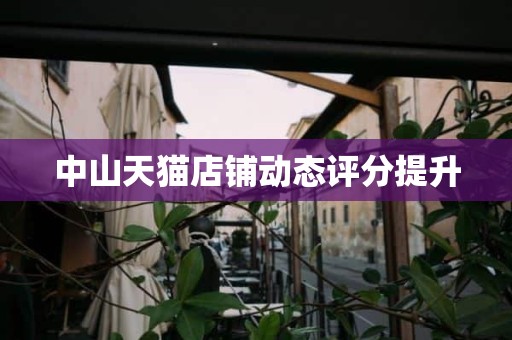 中山天猫店铺动态评分提升