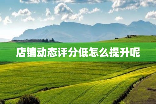 店铺动态评分低怎么提升呢