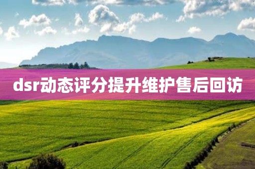 dsr动态评分提升维护售后回访