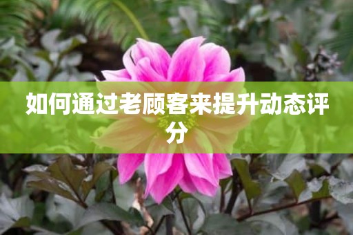 如何通过老顾客来提升动态评分