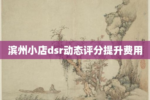滨州小店dsr动态评分提升费用