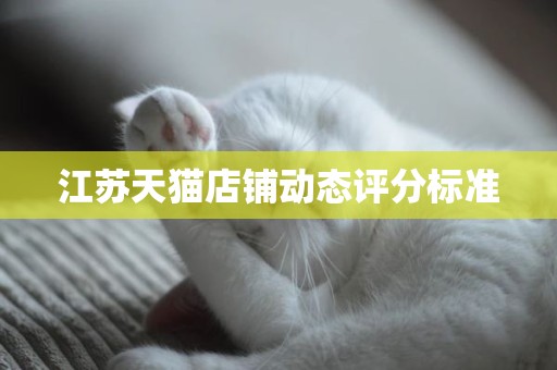 江苏天猫店铺动态评分标准