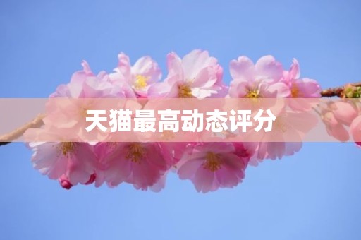天猫最高动态评分
