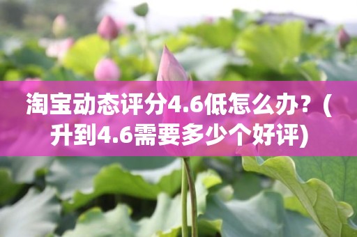 淘宝动态评分4.6低怎么办？(升到4.6需要多少个好评)