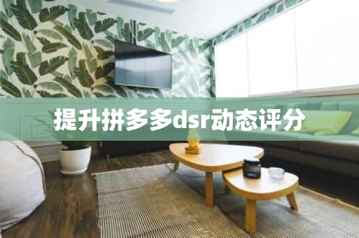 提升拼多多dsr动态评分