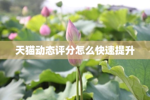 天猫动态评分怎么快速提升