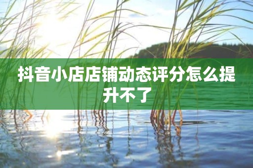 抖音小店店铺动态评分怎么提升不了