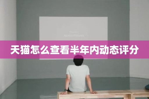 天猫怎么查看半年内动态评分