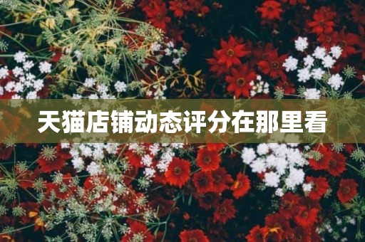 天猫店铺动态评分在那里看