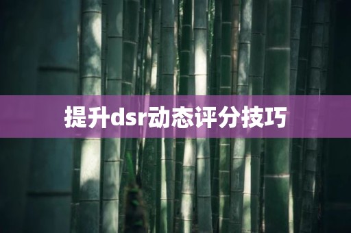 提升dsr动态评分技巧