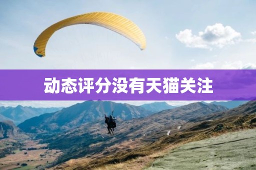 动态评分没有天猫关注