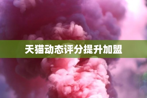 天猫动态评分提升加盟