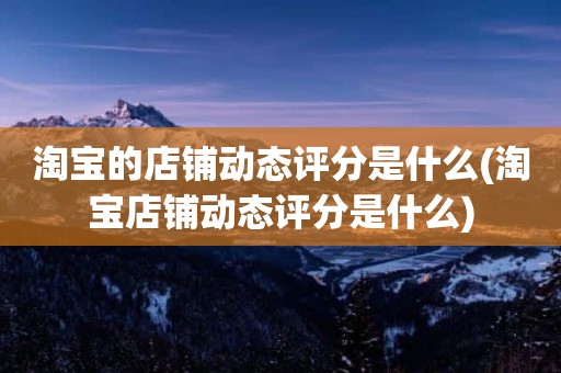 淘宝的店铺动态评分是什么(淘宝店铺动态评分是什么)