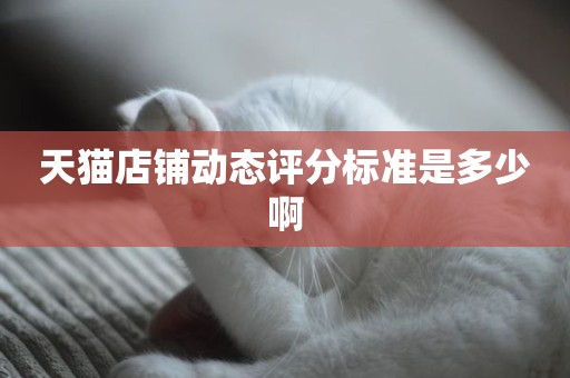 天猫店铺动态评分标准是多少啊