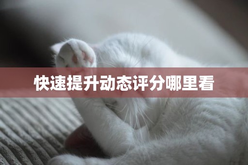 快速提升动态评分哪里看