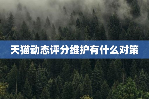 天猫动态评分维护有什么对策