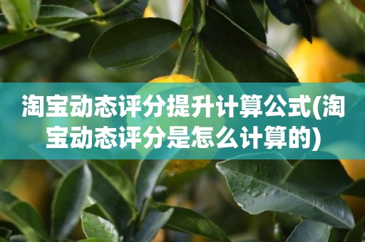 淘宝动态评分提升计算公式(淘宝动态评分是怎么计算的)