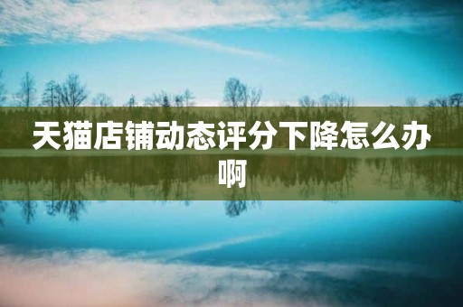 天猫店铺动态评分下降怎么办啊