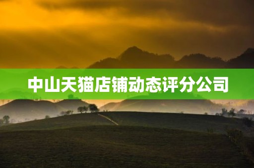 中山天猫店铺动态评分公司