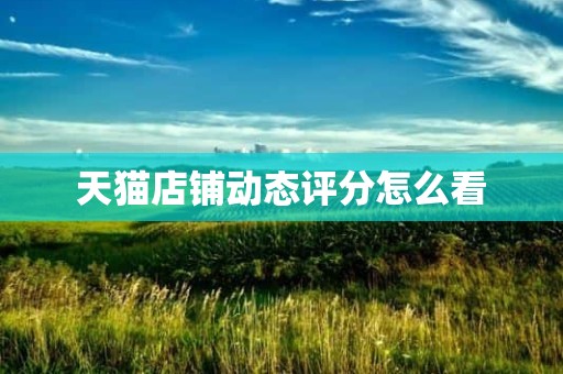 天猫店铺动态评分怎么看
