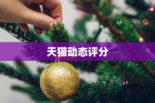 天猫动态评分