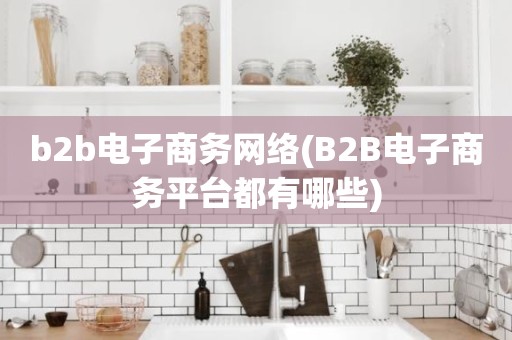 b2b电子商务网络(B2B电子商务平台都有哪些)