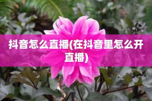 抖音怎么直播(在抖音里怎么开直播)