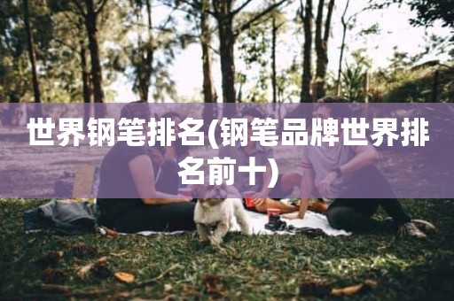 世界钢笔排名(钢笔品牌世界排名前十)