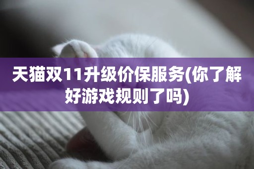 天猫双11升级价保服务(你了解好游戏规则了吗)