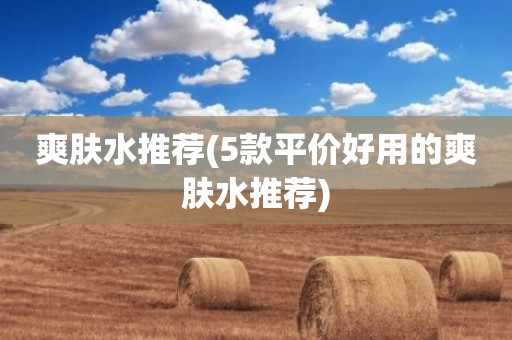 爽肤水推荐(5款平价好用的爽肤水推荐)