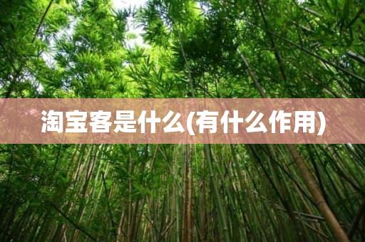淘宝客是什么(有什么作用)