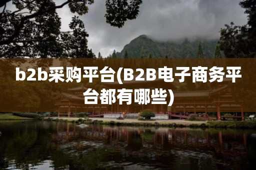 b2b采购平台(B2B电子商务平台都有哪些)