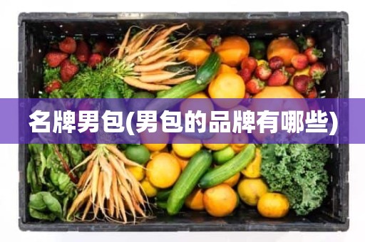名牌男包(男包的品牌有哪些)