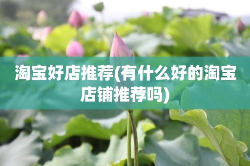 淘宝好店推荐(有什么好的淘宝店铺推荐吗)