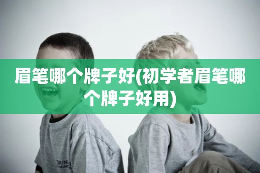 眉笔哪个牌子好(初学者眉笔哪个牌子好用)