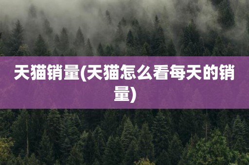 天猫销量(天猫怎么看每天的销量)