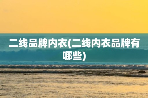 二线品牌内衣(二线内衣品牌有哪些)