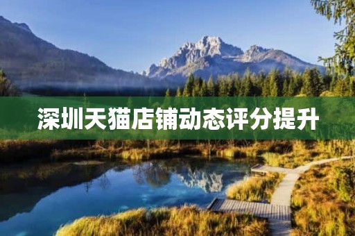 深圳天猫店铺动态评分提升