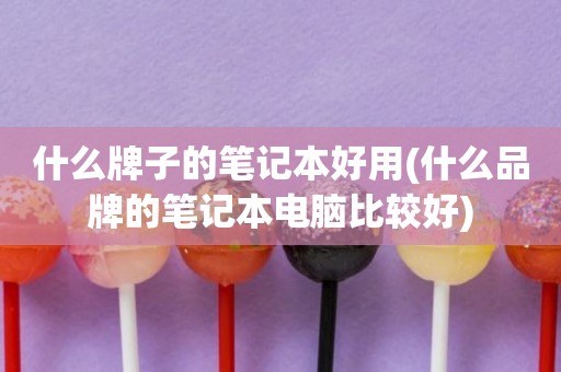 什么牌子的笔记本好用(什么品牌的笔记本电脑比较好)