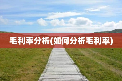 毛利率分析(如何分析毛利率)
