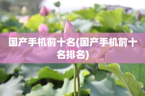 国产手机前十名(国产手机前十名排名)