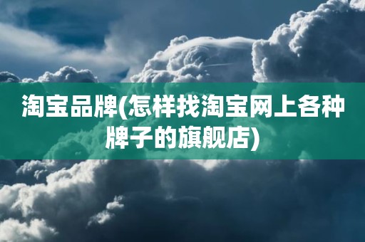 淘宝品牌(怎样找淘宝网上各种牌子的旗舰店)