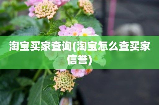 淘宝买家查询(淘宝怎么查买家信誉)